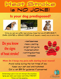 Check poison symptoms, diagnosis & treatments. London Regional Veterinary Emergency And Referral Hospital Home Facebook