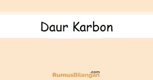 Sekian semoga makalah ini bermanfaat bagi pembaca semua. Daur Karbon Penjelasan Dan Beberapa Tahapannya Lengkap