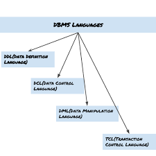 Dbms Languages