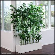 Trova una vasta selezione di piante da interno a prezzi vantaggiosi su ebay. Pin Di Shiju Kallatte Su Piante Da Interno Piante Artificiali Piante Da Bagno Decorazioni Vegetali
