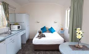 Dog Friendly Dog Friendly Holidays Cabin Camping Dog Friends