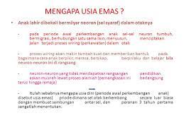 Pernah dengar istilah 'usia emas' yang dikaitkan pada perkembangan anak? Mengoptimalkan Tumbuh Kembang Anak Oleh Tatang Muttaqin M Ed Ppt Download