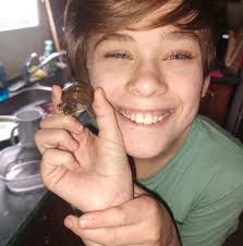 Tips for socializing a GSP with people and dogs