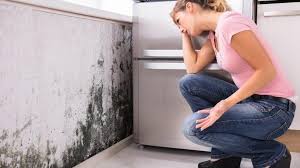 Every time you open a window or go outside, mold can be ushered in through the air if the moldy area is small—it's growing in an area that's smaller than 3 feet by 3 feet—you can probably do a diy cleanup. Does Homeowners Insurance Cover Mold Forbes Advisor