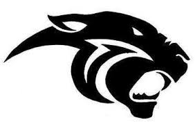 Image result for panther logo