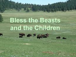 Who is the author of bless the beasts and children? Bless The Beasts And The Children Ppt Video Online Download