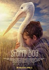 Where to watch p storm online free. Storm Boy 2019 Rotten Tomatoes