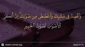 Surah luqman(لقمان) 31:1 alif lām mīm. Surah Luqman Ayat 19 Qs 31 19 Tafsir Alquran Surah Nomor 31 Ayat 19