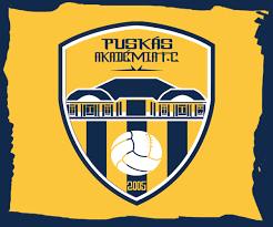 Puskás akadémia football club, commonly known as puskás akadémia, is a football club based in felcsút, hungary, that competes in the nemzeti bajnokság i, the top flight of hungarian football. Concept Puskas Akademia Fc 2021 2 0