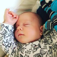 What's flowering now: early June