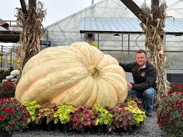 Image result for giant pumpkin