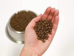 Earthblend Dog Food Home Facebook