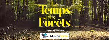 Filmstreaming gratuit, film streaming 100% en français comme : Cine Debat Degustation Le Temps Des Forets Ville D Arlon