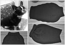 Hast du einen welpen, der die aufmerksamkeit liebt? Pullover Fur Den Hund Stricken Diy Pulli Hunde Pullover Hundepullover Hundepullover Hakeln