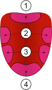 tongue map wikipedia