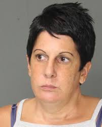 2 Amity Township women charged with stealing $1,300 in groceries from Giant  store in Exeter Township