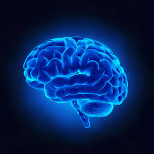 Pre Workout Supplements