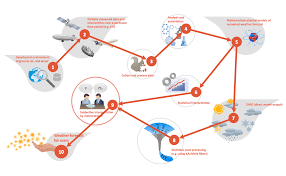 Workflow Diagram Software