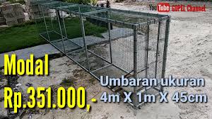 207.000 sipatan(hollow aluminium) 6m = rp. Umbaran Murai Batu Cara Membuat By Kicau Burung Murai Lovebird
