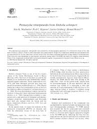 Image result for Embelia schimperi