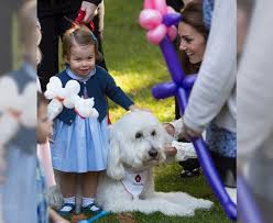 Pin On Prince William S Family
