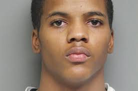 Backyard Chickens Get OK In Des Plaines