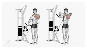 Gemeinsam mit dem trapezmuskel formt der latissimus den oberen rücken. Trapezmuskel Nackenmuskulatur Trainieren Modusx