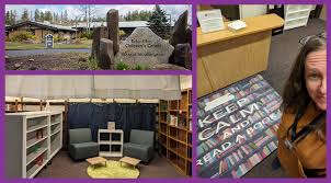 INSTITUTIONAL LIBRARY SERVICES: A VIEW FROM THE NEW