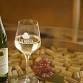 La Viña SPRING WINE FESTIVAL 2026