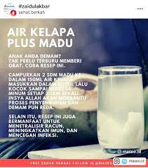 Madu Kelapa Obat Alami Kesehatan Alami Diet Detoks