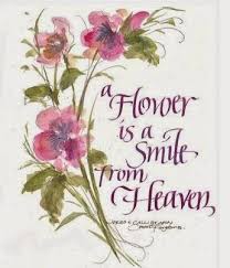A Flower Is A Smile From Heaven And Is Designed By God And Some Flowers Are So Beautiful You Just Have Flower Quotes Garden Quotes Beautiful Flowers