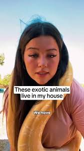 Exotic Animal Rescue: Meet My Unique Pets