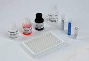 Promazine Group Forensic ELISA Kit | Diagnostics | Neogen