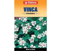 Yates Vinca Flower Seeds Vinca Flowers