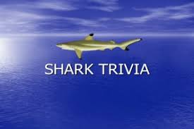 Which shark facts are fishy and which hold water? Past Events Page 4 Save Our Sharks Nl