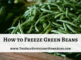 How to reheat blanched green beans. How To Freeze Green Beans The Self Sufficient Homeacre