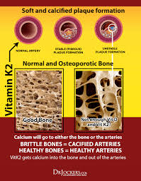 D2 (ergocalciferol) and d3 (cholecalciferol). 3 Major Benefits Of Vitamin K2 For Your Heart And Bones