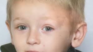 No charges in pit bull attack that killed boy