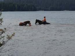 Northwood lodge and resort is an all season family vacation getaway on timothy lake, bc. Timothy Lake Oregon Leading A Horse To Water Cabin Fever Chronicles Getting Outdoors With Rod