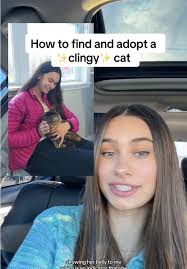 How to Apply in Tabby Using C3pay Card