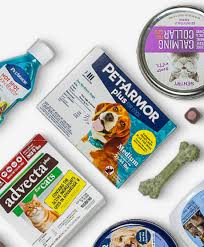 Caring for your new kitten. Petiq The Smarter Approach To Pet Health