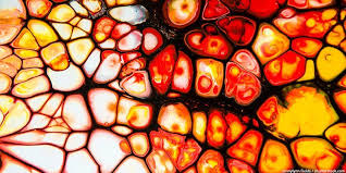 Comment utiliser le bureau étendu pour afficher 2 écrans différents. Methode Acrylique Pouring En Francais Guide Pour Pouring Acrylique