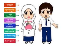Ini 20 perbezaan secara psikologi & cara pemikiran lelaki vs perempuan 1. Perbezaan Lelaki Dan Perempuan Sumber Pengajaran