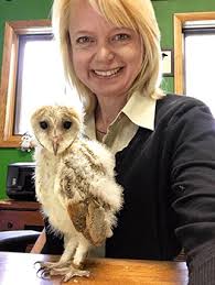 World Bird Sanctuary Preserve Protect And Inspire World Birds Baby Barn Owl Wild Birds