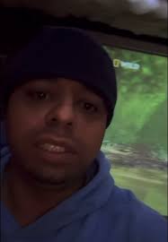 With black panther sightings going up around southern Ontario Canada it is  believed there may be a very small population of this elusive majestic apex  predator living in the wild in Ontario Canada…, ...