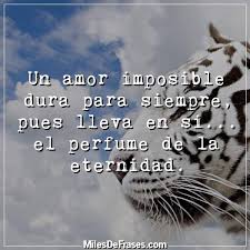 Pin En Frases