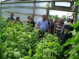 Am încheiat un acord cu un consorţiu naţional, în urma unei măsuri europene, şi astfel nu trebuie ca oamenii să mai achite contravaloarea de 500 de. DemonstraÈie PracticÄ Cultivarea Legumelor In Solarii In Comuna PloscuÈeni JudeÈul Vreancea