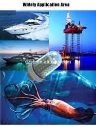 Deep Glow Underwater Squid Fishing Lights Buy Deep Glow Underwater Fishing Lights Underwater Squid Light Squid Underwater Fishing Light Product On Alibaba Com