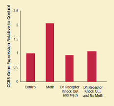 Crack Cocaine Promotes Progression Of Hiv Infection To Aids