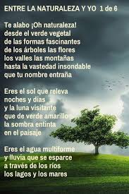 Entre La Naturaleza Y Yo Naturaleza Poemas Poesia